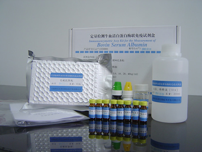 IL-1β檢測試劑價格與品牌對比 R&D、RB、IBI、Invitrogen進口/國產(chǎn)綜合分析